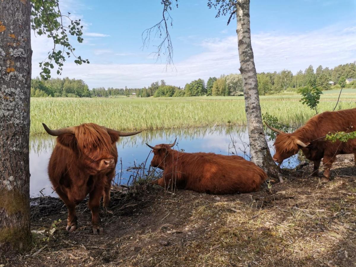 Isotalo Farm At Enaejaervi Lake Salo  Kültér fotó